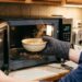 Colocar uma tigela de vinagre quente no micro-ondas por cinco minutos: para que serve e por que recomendam
