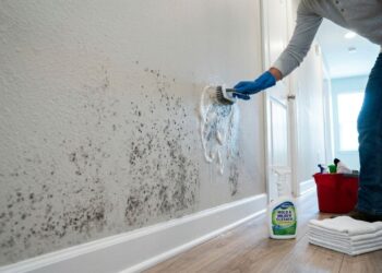 Como tirar mofo escuro das paredes no inverno: o truque fácil da solução borrifada de água sanitária e água que sempre funciona
