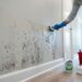 Como tirar mofo escuro das paredes no inverno: o truque fácil da solução borrifada de água sanitária e água que sempre funciona