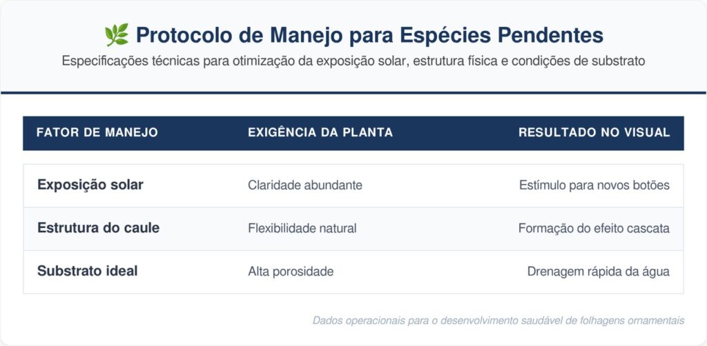 Plantas-pendentes-tabela-1-1024x502 A flor ideal para pendurar na varanda: formam cascatas de cores e garantem um visual espetacular ano após ano