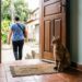 Seu gato está ficando mais perto de você do que o normal e você acha isso fofo: veterinários interpretam isso de uma maneira completamente diferente