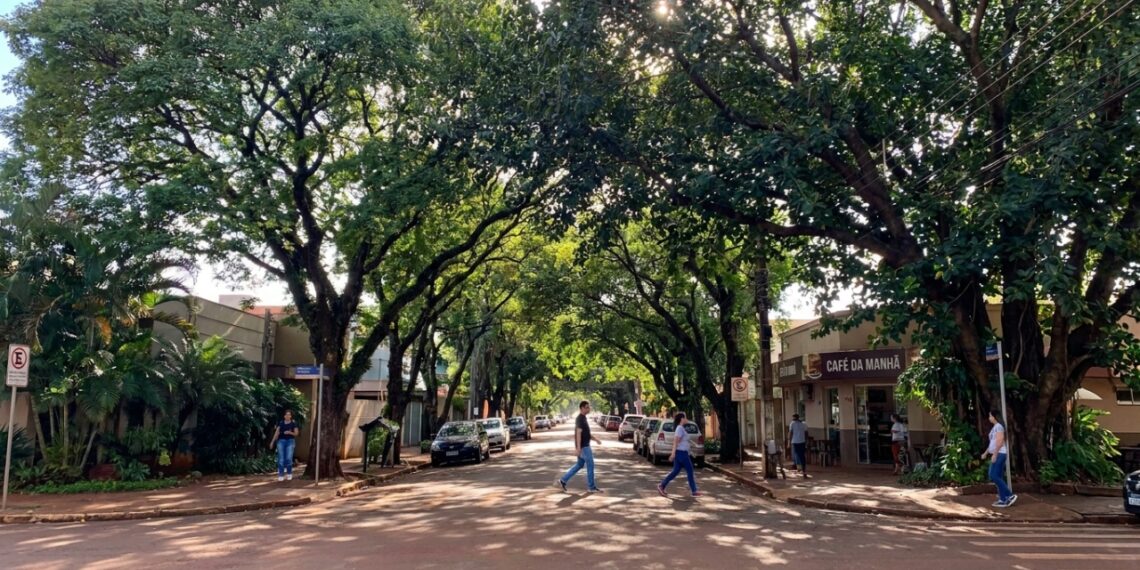 A capital mais arborizada do Brasil tem mais de 90% das ruas com árvores e é hexacampeã de um título mundial verde