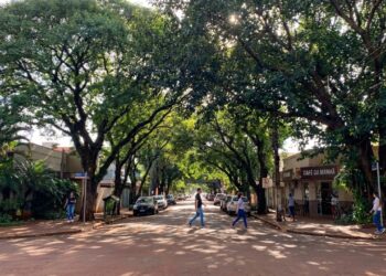 A capital mais arborizada do Brasil tem mais de 90% das ruas com árvores e é hexacampeã de um título mundial verde