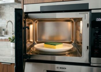 Colocar a esponja de lavar louças úmida no micro-ondas por dois minutos potência alta: um truque inteligente para eliminar bactérias invisíveis e tirar o mau cheiro