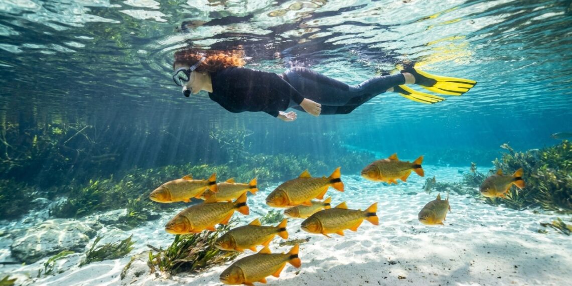 Eleita destino número 1 do verão pela National Geographic: a cidade com rios transparentes no interior do Brasil que superou Galápagos e Ruanda