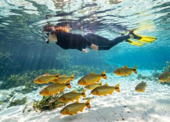 Eleita destino número 1 do verão pela National Geographic: a cidade com rios transparentes no interior do Brasil que superou Galápagos e Ruanda