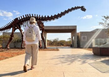 A única cidade do Sudeste com Geoparque Mundial guarda o maior dinossauro já achado no Brasil com 27 metros de comprimento