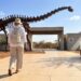 A única cidade do Sudeste com Geoparque Mundial guarda o maior dinossauro já achado no Brasil com 27 metros de comprimento