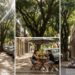 A capital planejada que tem o segundo maior acervo de art déco do mundo e quase 100 metros quadrados de área verde por morador