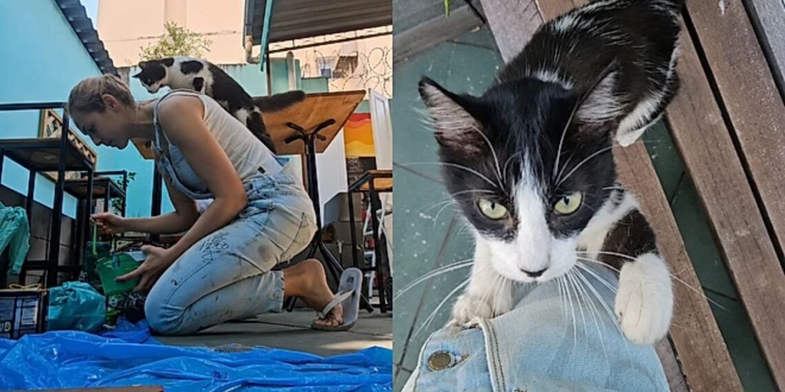Artista pinta muro e acaba sendo escolhida por uma gatinha de rua em um momento emocionante