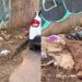 Filhote é encontrado em situação extrema e luta pela vida com apoio de voluntários