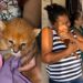 Mulher cuida de filhote achando ser gato e se surpreende ao descobrir espécie silvestre