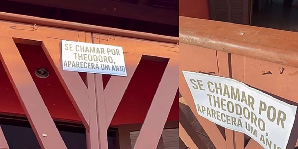 Golden vira sensação após família colocar placa convidando vizinhos a chamarem por Theodoro