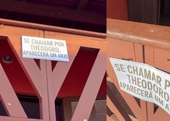 Golden vira sensação após família colocar placa convidando vizinhos a chamarem por Theodoro