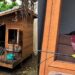 Moradora constrói casa de luxo para cães e atitude dos pets ao ver a surpresa rouba a cena
