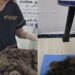 Cachorrinha abandonada é encontrada com quilos de pelos embolados e comove cuidadores