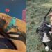 “Castigado por ser dócil”: pitbull usado em rinhas perde a visão e encontra amor verdadeiro