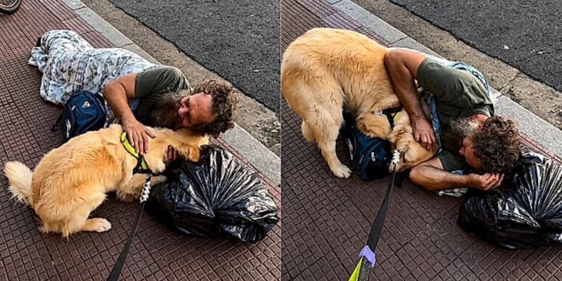 Golden retriever emociona ao consolar homem em situação de rua com gesto de puro carinho