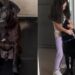 Cão com cicatrizes graves emociona ao provar que aparência não define amor