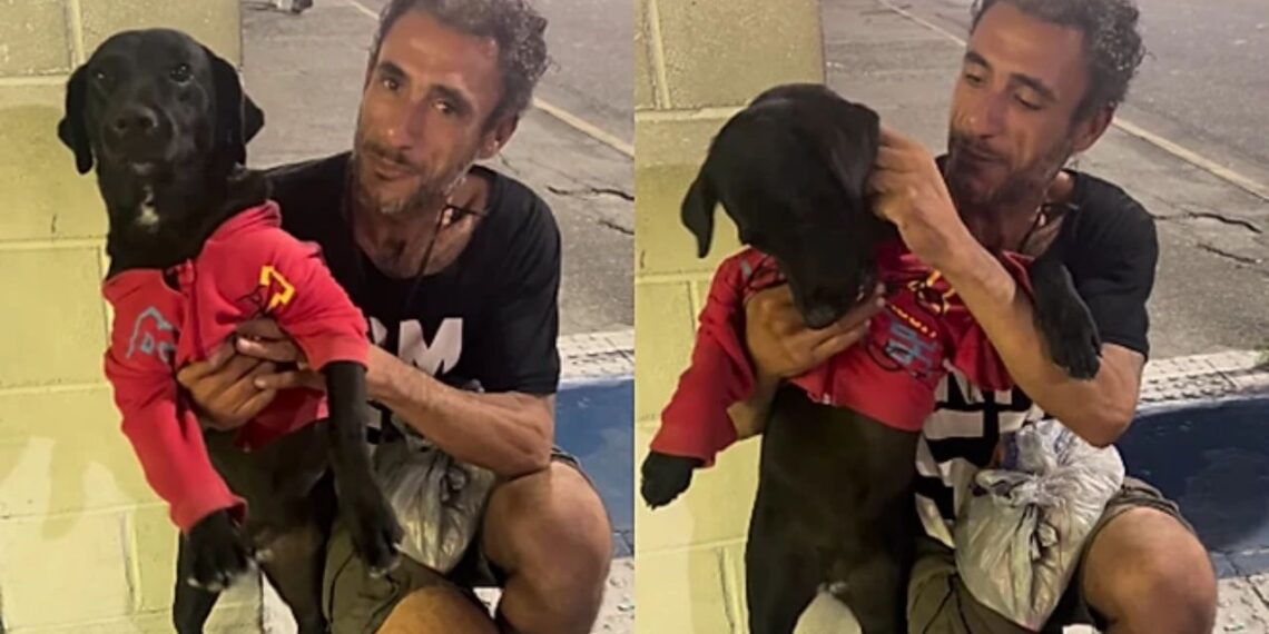 Mesmo sem recursos, morador busca adoção para garantir futuro de sua cadelinha