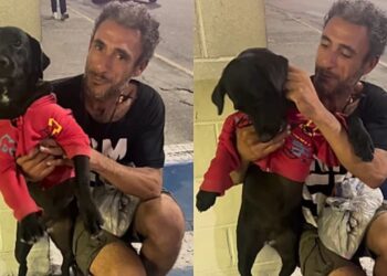 Mesmo sem recursos, morador busca adoção para garantir futuro de sua cadelinha