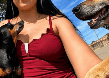 Cães de rua formam rede de apoio para ajudar empresária a superar momento de angústia e tocam milhares