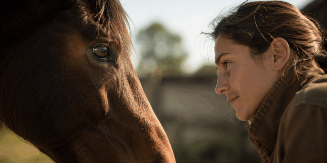 Cavalos conseguem interpretar emoções humanas muito antes do que se imaginava