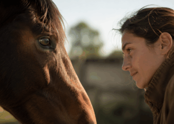 Cavalos conseguem interpretar emoções humanas muito antes do que se imaginava