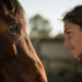 Cavalos conseguem interpretar emoções humanas muito antes do que se imaginava