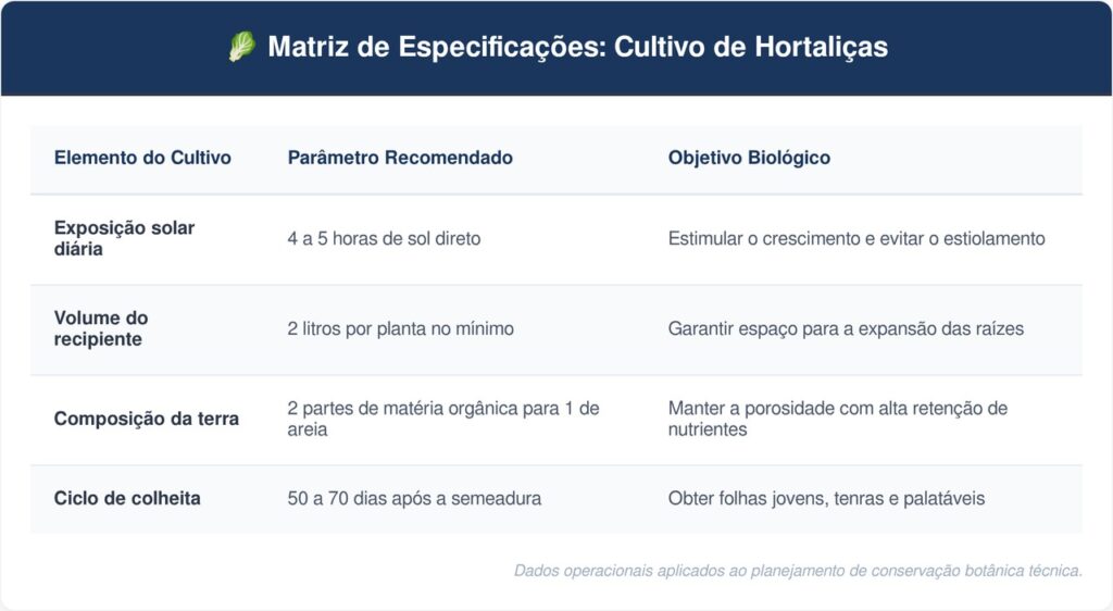 Alface-em-garrafas-PET-tabela-1024x562 Horta em casa: como plantar alface em garrafas PET que crescem em qualquer janela ensolarada da cozinha