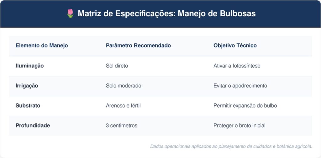 Alho-tabela-1024x504 Como plantar alho em casa usando dentes da despensa com um cuidado no solo que faz diferença no bulbo