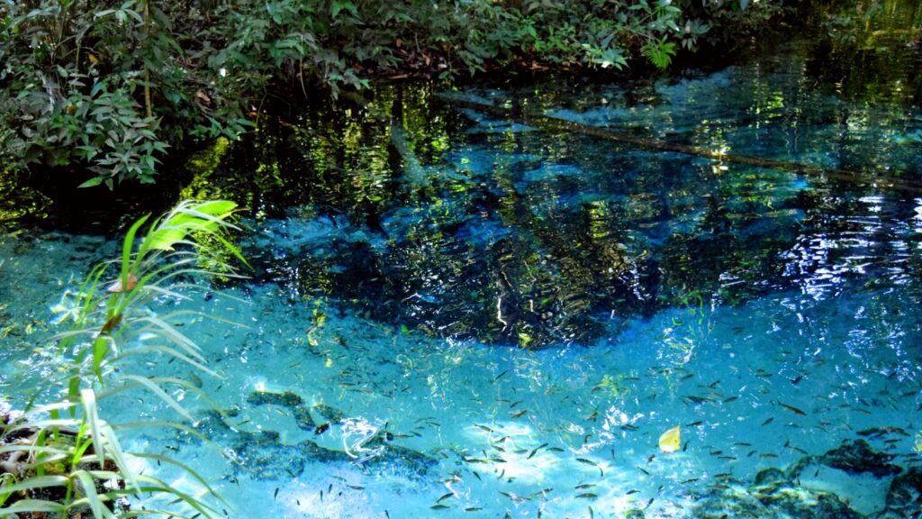 Aquario_Encantado_-_Bom_Jardim_-_Nobres-1024x576 Paraíso de águas cristalinas e nascentes no coração do Mato Grosso: refúgio com 15 mil habitantes oferece paz entre cavernas e muita beleza