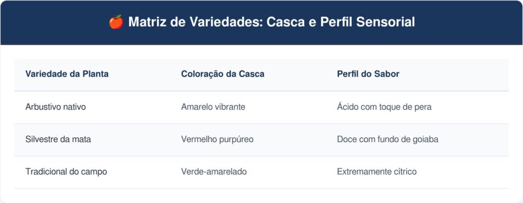 Araca-tabela-1024x398 A fruta do cerrado que tem cor amarela e sabor de pêra com goiaba e que poucos brasileiros conhecem