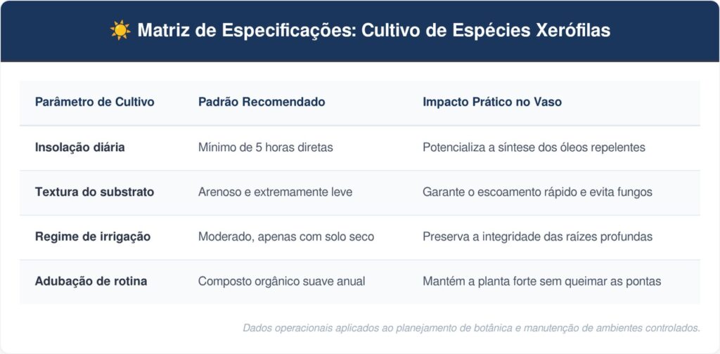 Arruda-tabela-1024x504 Jardim em casa: a erva de proteção que cresce em qualquer janela ensolarada para afastar pragas das outras plantas