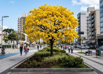 3 árvores nativas brasileiras cujas raízes não danificam o asfalto, perfeitas para frentes de casas modernas