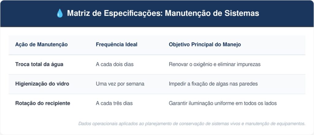 Batata-doce-tabela-1024x441 Horta em casa: como enraizar batata-doce na água na janela ensolarada antes de plantar na terra