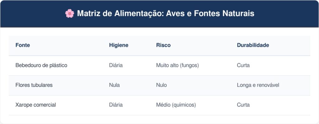 Beija-flores-tabela-1024x398 Se você ouvir este rápido bater de asas durante o dia, nós lhe contamos o que isso significa e por que é um bom sinal