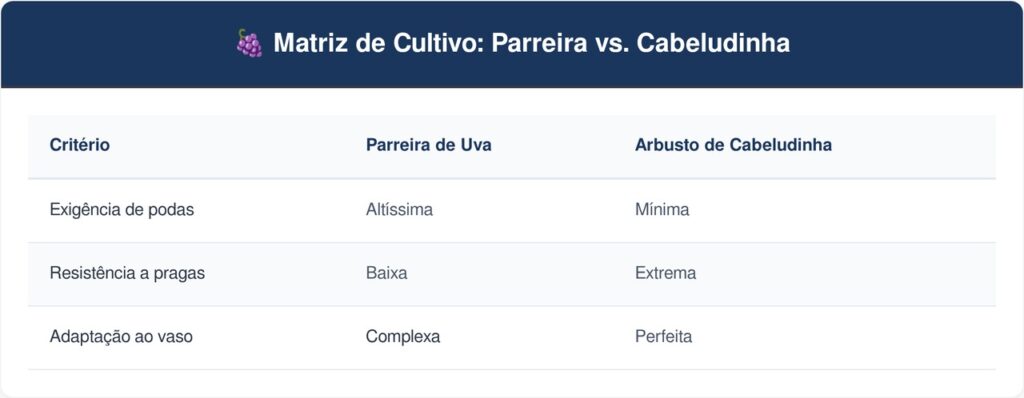 Cabeludinha-tabela-1024x398 A fruta da mata atlântica que tem cor amarela felpuda e sabor de uva bem doce e que poucos brasileiros conhecem