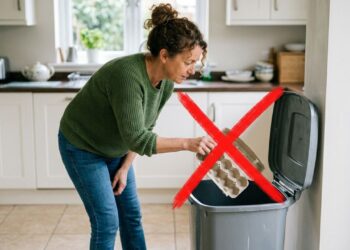 Não jogue as caixas de ovo de papelão fora: ideias para reutilizar essas bandejas como sementeiras ecológicas para germinar hortaliças antes de ir para a terra