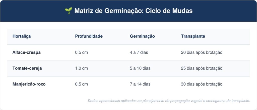 Caixas-de-ovo-de-papelao-tabela-1024x441 Não jogue as caixas de ovo de papelão fora: ideias para reutilizar essas bandejas como sementeiras ecológicas para germinar hortaliças antes de ir para a terra