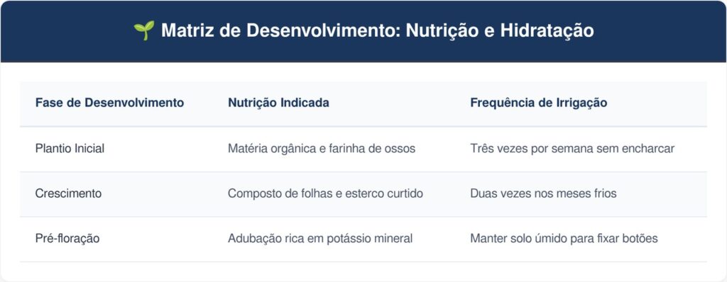 Cambuci-tabela-1024x398 A fruta exótica que tem cor verde-clara e sabor de limão adocicado e que poucos brasileiros conhecem