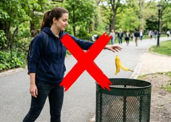 Não jogue as cascas de banana fora: ideias para reutilizar a parte interna para limpar e dar brilho natural em folhas grandes de plantas ornamentais de interior