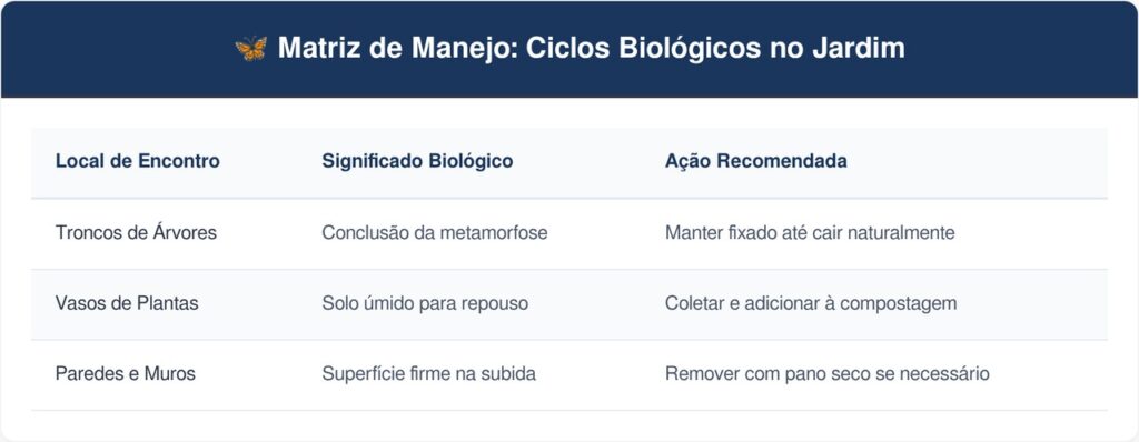 Casca-de-cigarra-tabela-1024x398 Se você encontrar esta casca seca presa no tronco, nós lhe diremos o que isso significa e por que é algo bom