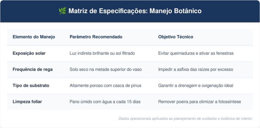 Costela-de-adao-tabela-1024x504 A folhagem mais desejada para decoração de interiores: como cuidar da costela-de-adão e fazer as folhas rasgarem