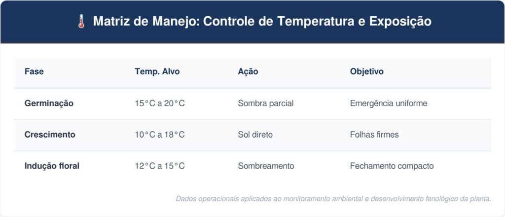 Couve-flor-tabela-1024x441 Como plantar couve-flor em vasos profundos com um cuidado na temperatura que faz diferença no fechamento da cabeça