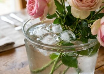 Colocar três cubos de gelo na água do vaso de flores cortadas na sala de jantar: para que serve e por que você deve fazer isso para reduzir as bactérias e mantê-las vivas