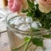 Colocar três cubos de gelo na água do vaso de flores cortadas na sala de jantar: para que serve e por que você deve fazer isso para reduzir as bactérias e mantê-las vivas