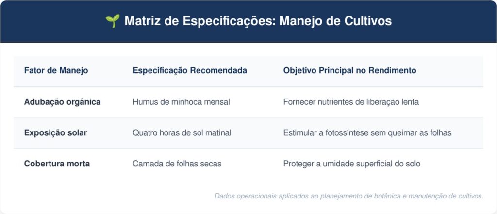 Curcuma-tabela-1024x441 Como plantar cúrcuma em vasos largos com um cuidado na umidade que faz diferença no rendimento do açafrão
