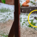 Mulher filmava uma tempestade de granizo quando encontrou um passarinho lutando pela vida