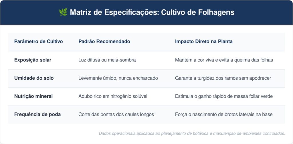 Dinheiro-em-penca-tabela-1024x504 A folhagem mais indicada para atrair prosperidade: como cuidar do dinheiro-em-penca e fazer o vaso encher rápido